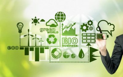 Green economy e transizione ecologica