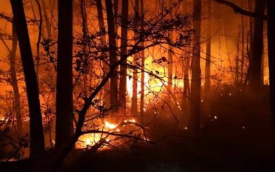 Modelli di previsione degli incendi boschivi